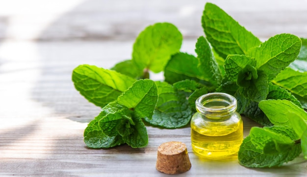 Botella con aceite esencial y menta aislado sobre un fondo claro