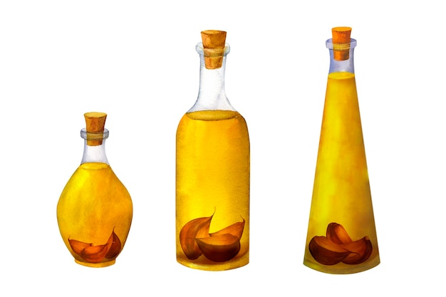 Una botella de aceite de oliva aromático con especias y ajo acuarela pintada a mano aislada en el dorso blanco