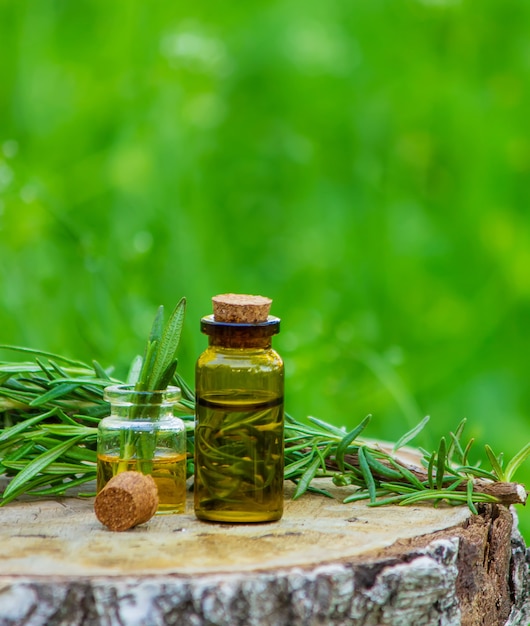 Una botella de aceite de romero en el tocón de un árbol. Aceite esencial, remedios naturales. Naturaleza. Enfoque selectivo