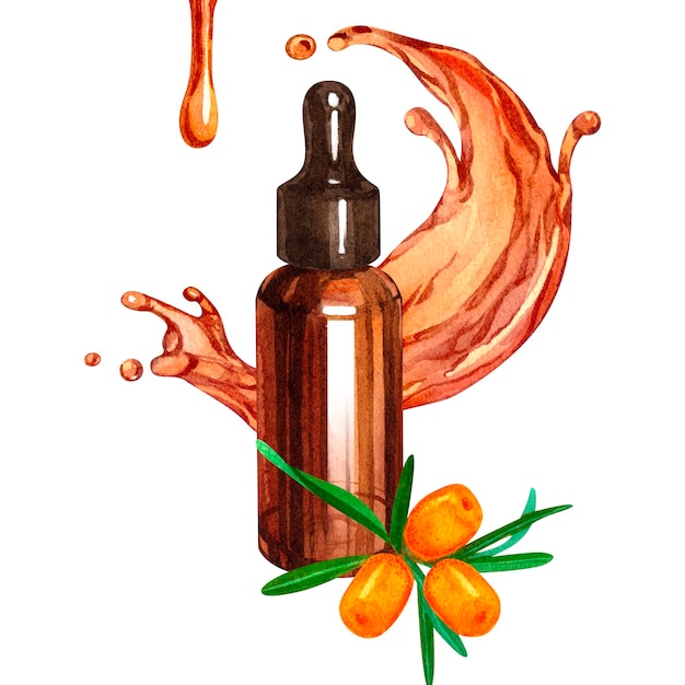 Botella de acuarela con gotero de aceite de espino marino y bayas maduras Ilustración dibujada a mano