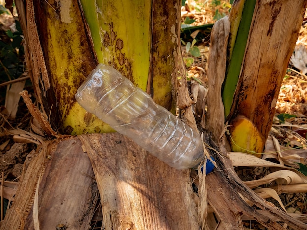 Una botella de agua de 600 ml debajo de un plátano