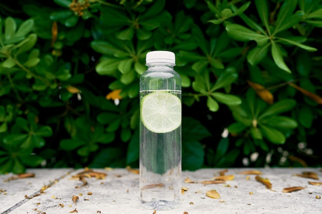 Botella de agua con cal se encuentra en un mosaico cerca de un arbusto verde