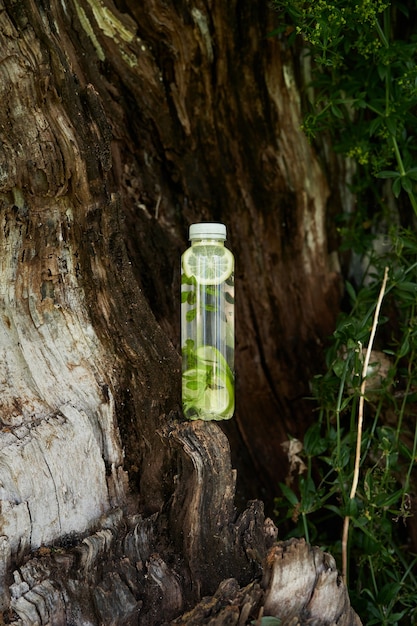 Botella de agua con limón y menta se encuentra en un árbol viejo