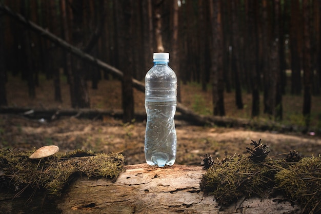 Botella de agua de plástico se encuentra en un registro talado con musgo y setas en el bosque. Concepto de agua limpia natural.