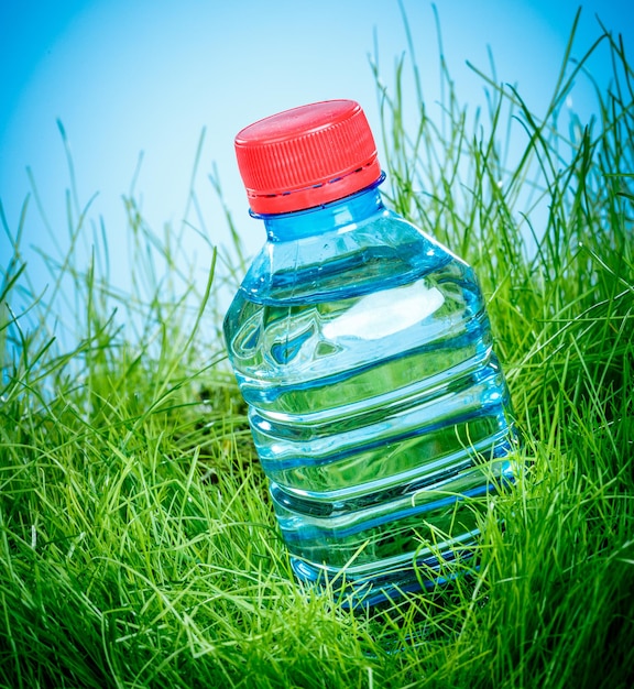 Botella de agua sobre la hierba verde.