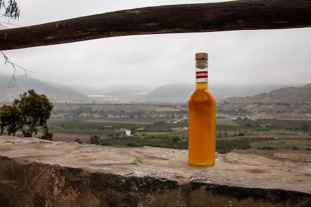 Botella de alcohol con infusión de frutas con montañas detrás