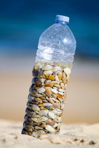 Botella con almejas donax.