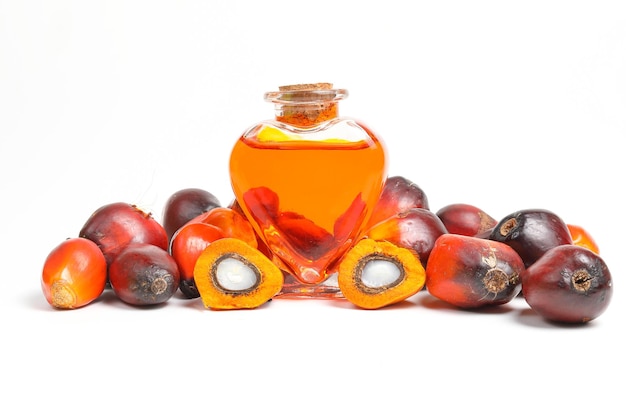 Botella de bulbo de fruta de palma de aceite