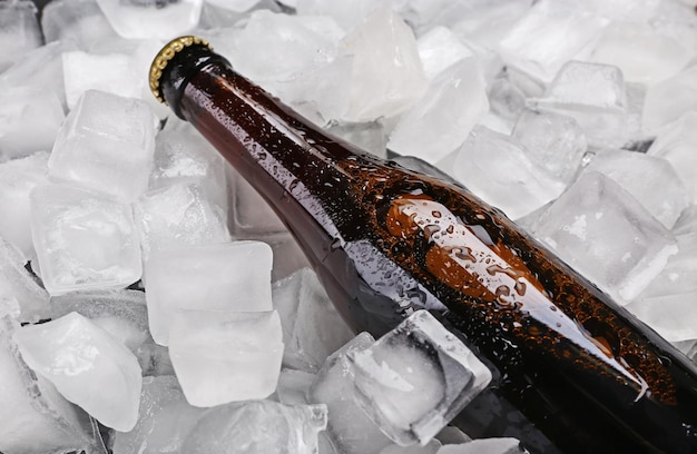 Botella de cerveza en hielo