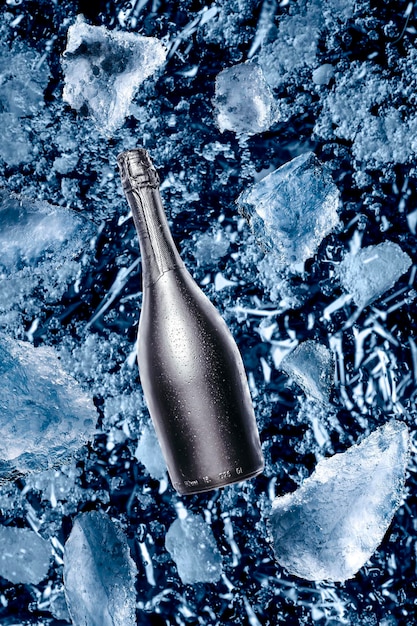 Botella de champán con hielo de nieve