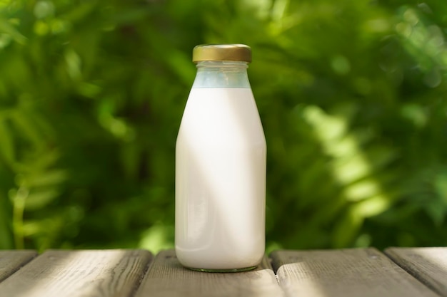 Una botella de leche fresca en un verano soleado granja pradera hierba naturaleza y plantas Mockup eco alimentos lácteos