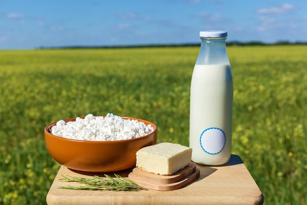 Botella de leche, requesón y mantequilla sobre un fondo de prado amarillo y cielo azul