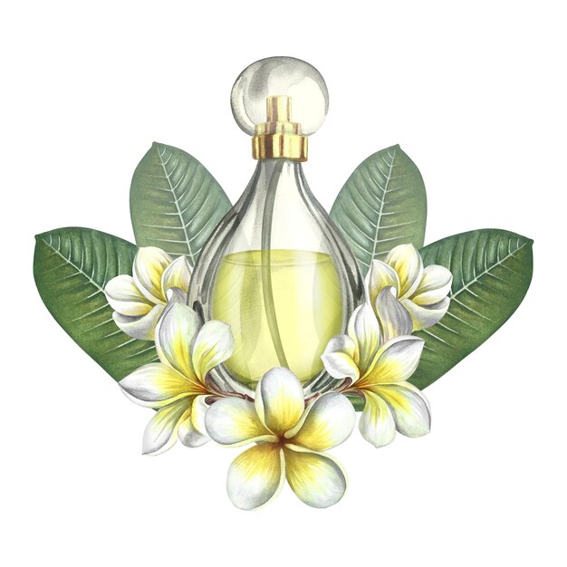 Una botella de perfume hecha de vidrio transparente con flores de plumeria frangipani ilustración en acuarela
