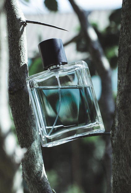 Botella de perfume masculino con ramas de árbol perfume en un fondo natural
