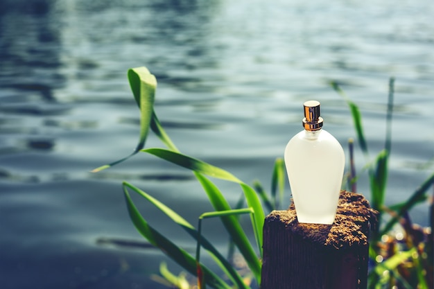 Botella de perfume natural en azul borrosa