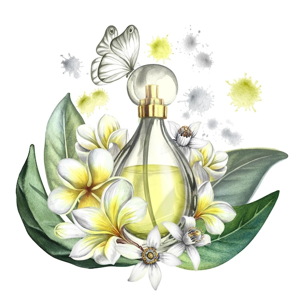 Una botella de perfume con plumeria frangipani y flores de naranja Ilustración en acuarela