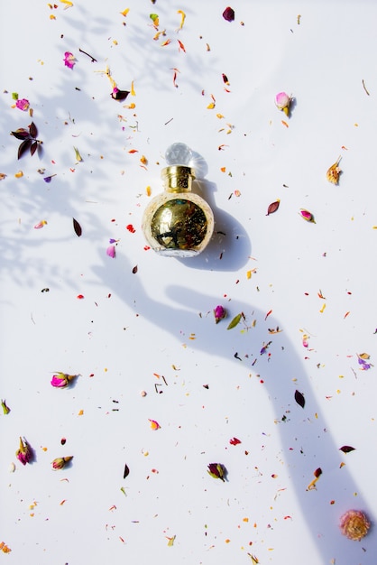 Botella de perfume y sombra de mano femenina sosteniéndola con flores secas alrededor de la superficie blanca