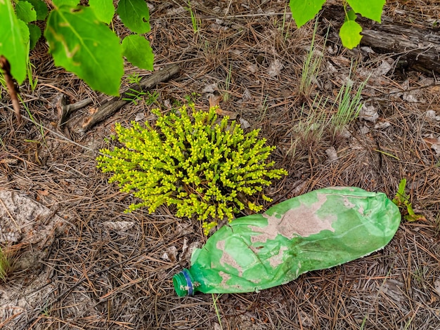 Una botella de plástico abandonada en el bosque