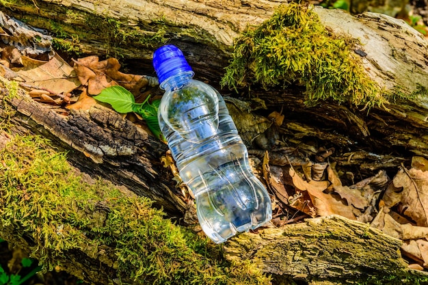 Botella de plástico con agua clara en el tronco de un árbol en el bosque