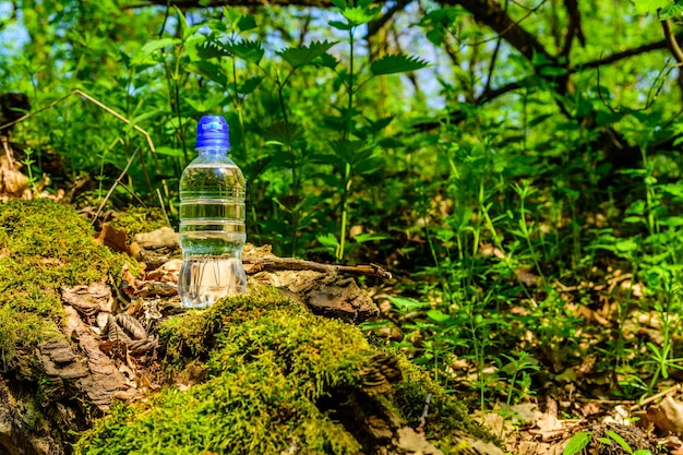 Botella de plástico con agua clara en el tronco de un árbol en el bosque