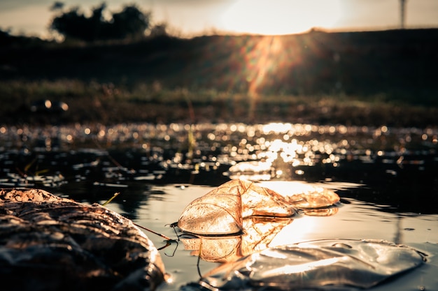 Botella de plástico en el río con bokeh y destello de lente, excepto el concepto de medio ambiente. enfoque selectivo y suave.