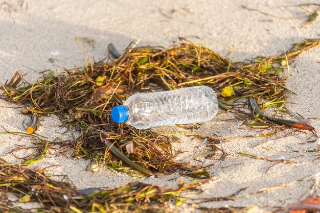 Botella de plástico con tapa lavada en la playa mezclada con algas