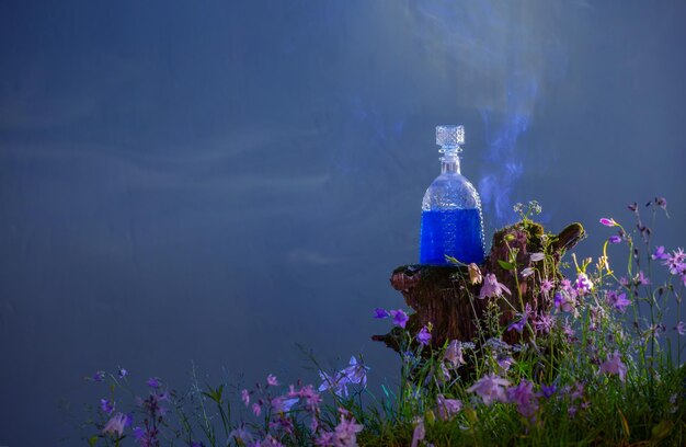 Foto botella de pociones mágicas en el bosque mágico