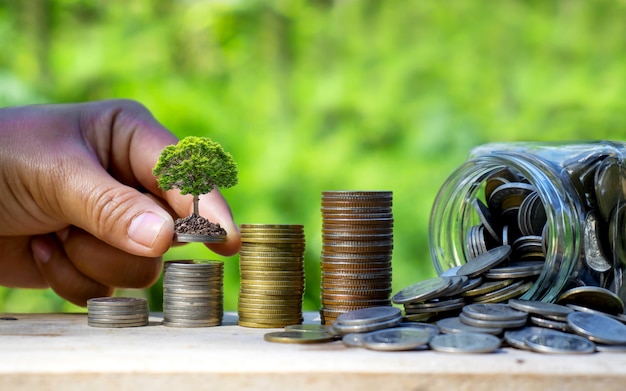 Botella recogiendo dinero y plantando árboles en pilas de monedas