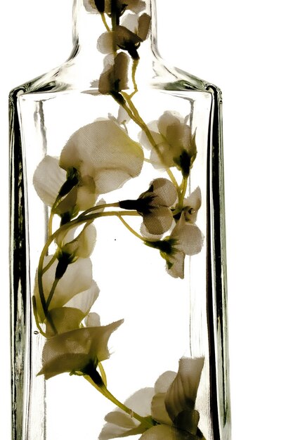 Foto una botella transparente con flores y un fondo blanco.