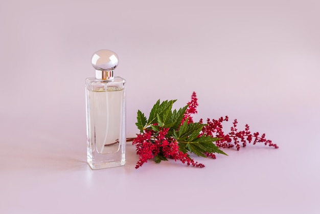 Una botella transparente de perfume de mujer o eau de parfum sobre un fondo pastel y una presentación de aroma astilbe rosa Un diseño en blanco