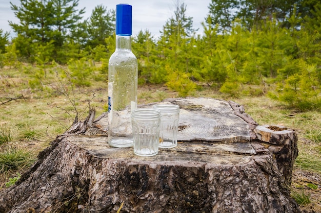 Botella vacía y dos vasos en el bosque.