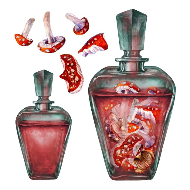 Botella de vidrio de acuarela vintage con setas venenosas agaricos de mosca para la alquimia de las brujas Halloween