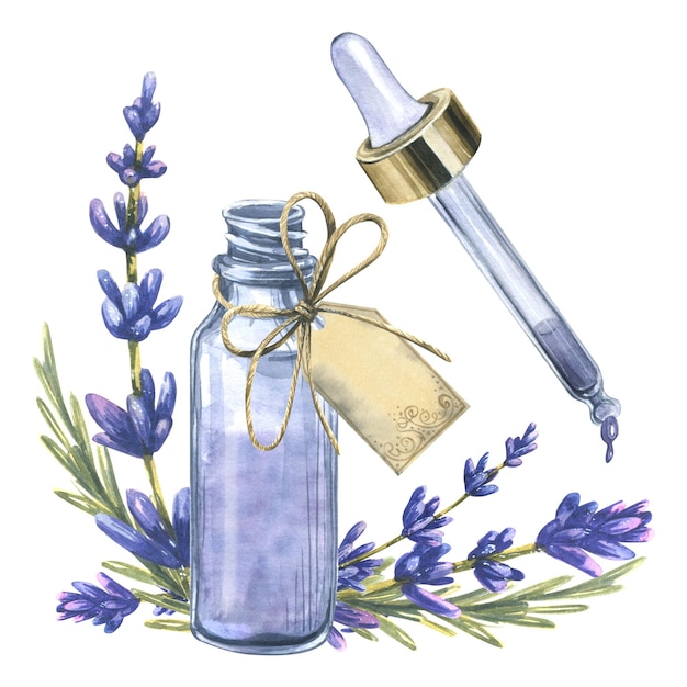 Una botella de vidrio con una pipeta, una etiqueta y un lazo hecho de cuerda con flores de lavanda Ilustración acuarela La composición de un gran conjunto de LAVANDER SPA Para decoración y diseño