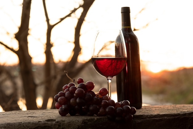 Foto botella de vino y copa con uvas rojas