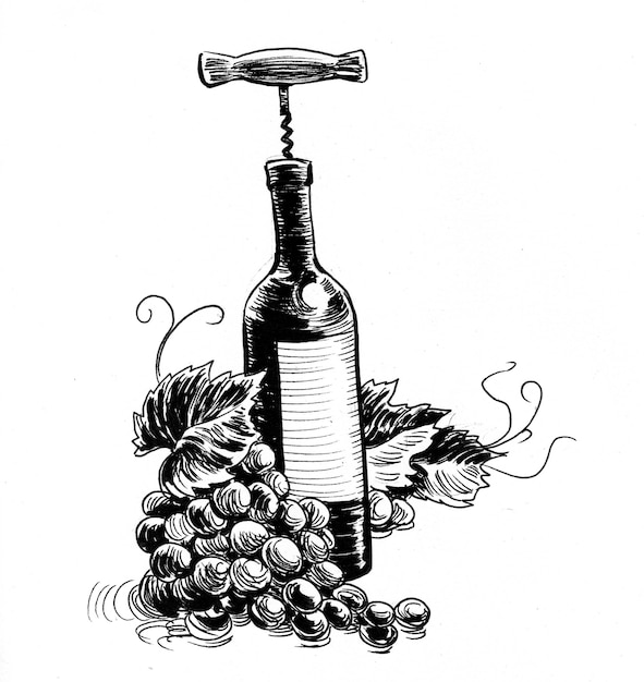 Botella de vino y racimo de uvas. Dibujo a tinta en blanco y negro