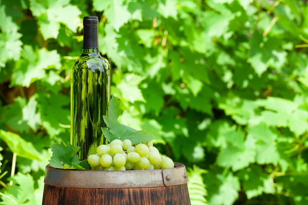 Botella de vino y vid de uva en barril de vino viejo