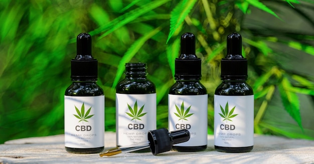 Botellas de aceite de cannabis CBD Aceite de cannabis en pipeta producto de cáñamo Concepto de medicina alternativa a base de hierbas industria farmacéutica de aceite de cbd