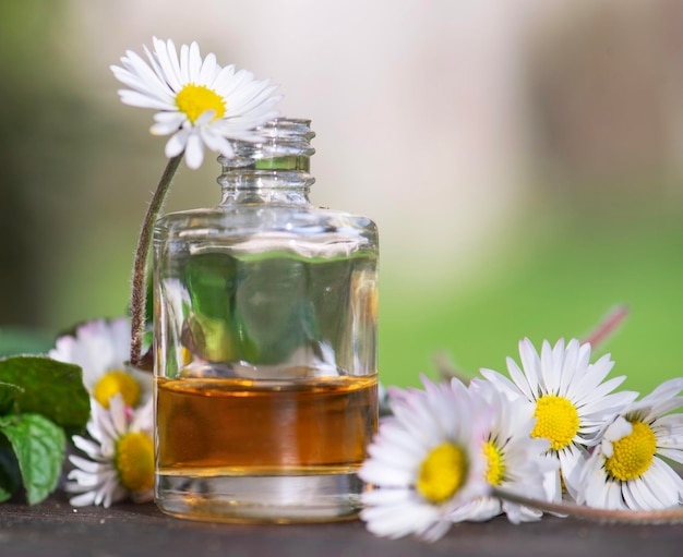 botellas de aceite esencial y margaritas con hojas de menta frescas en una mesa de madera al aire libre