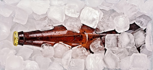 Botellas de cerveza congelada con cubitos de hielo