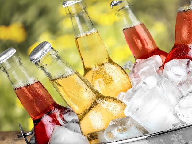 Botellas de cerveza fría y fresca con hielo aislado