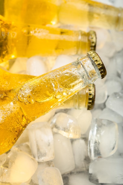 Botellas de cerveza fría y fresca con hielo.