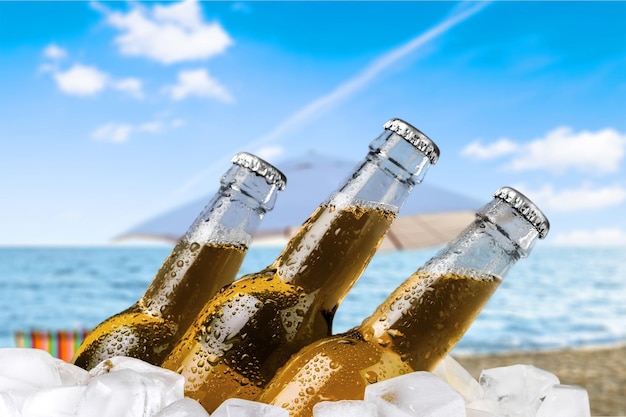 Botellas de cerveza con hielo sobre fondo claro