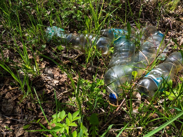 Botellas de PET de plástico en el bosque después de que la gente contamine la naturaleza el concepto de problemas ambientales