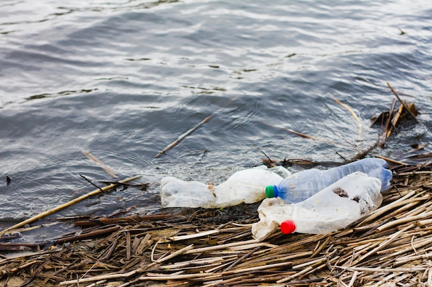 Botellas de plástico en la orilla del río, concepto para el día de la protección de los océanos. Basura plástica no degradable en la costa.