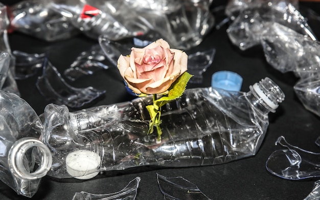 Botellas de plástico en la pila con una flor. Contaminación ambiental. Desastre ecológico. Problema de reciclaje.