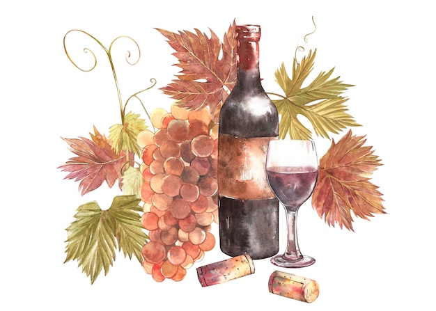 Botellas y vasos de vino y variedad de uvas, aislado sobre fondo blanco. Dibujado a mano ilustración acuarela.