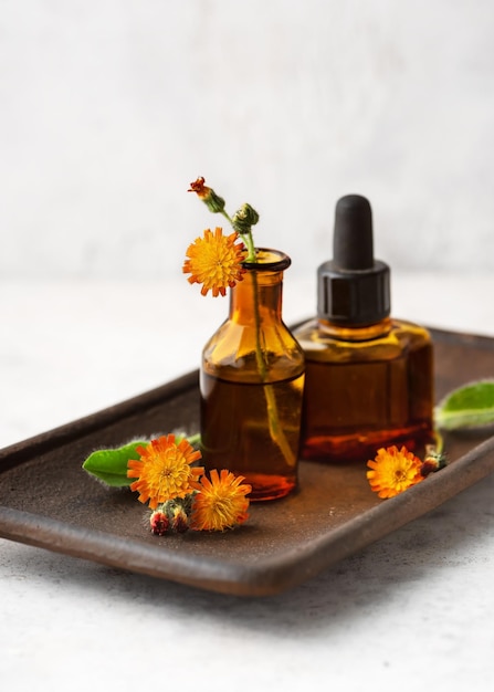 Botellas de vidrio con aceite aromático de flores de hawkweed naranja Spa o concepto de medicina herbaria