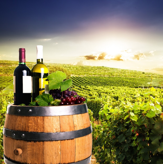 Botellas de vino en la barrica de roble sobre viñedos en el fondo. Concepto de bodega