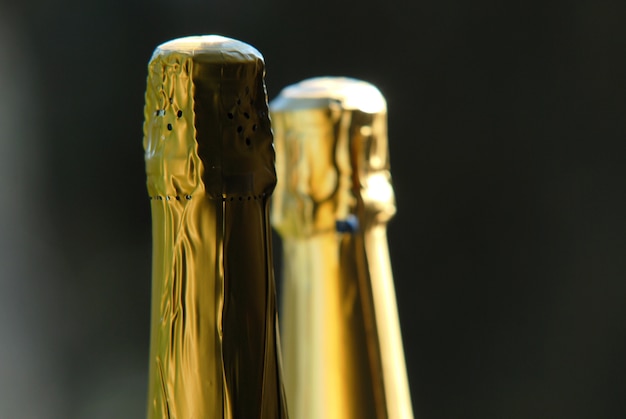 Botellas de vino espumoso en el jardín al aire libre.