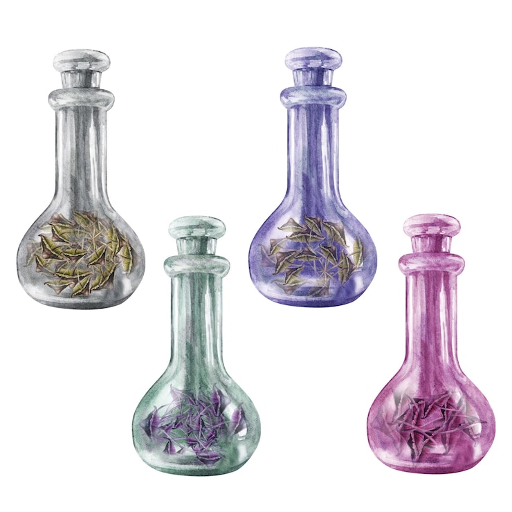 Foto botellas vintage de vidrio transparente con setas venenosas setas para la alquimia de las brujas halloween